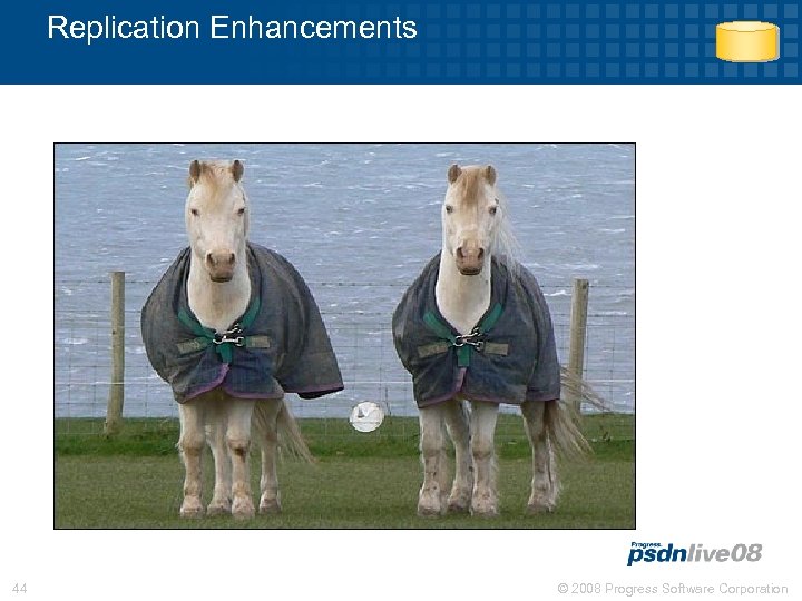 Replication Enhancements 44 © 2008 Progress Software Corporation 