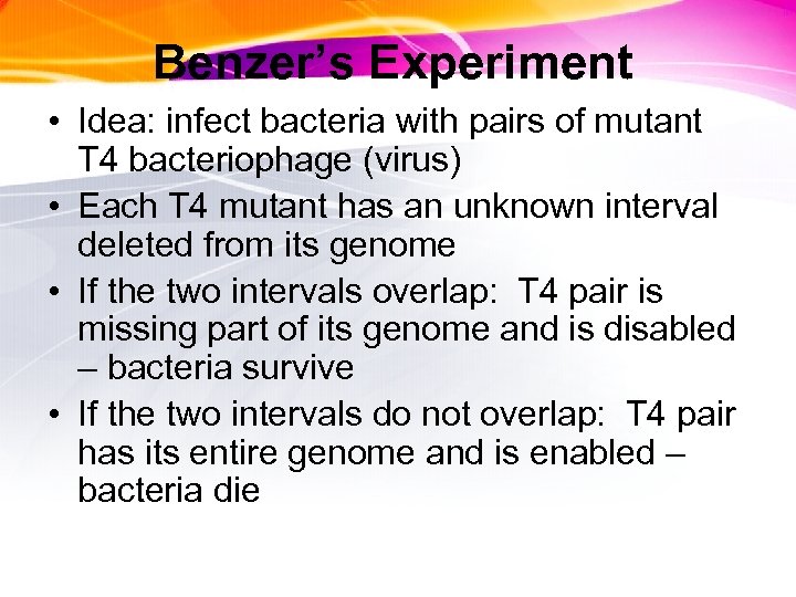 Benzer’s Experiment • Idea: infect bacteria with pairs of mutant T 4 bacteriophage (virus)