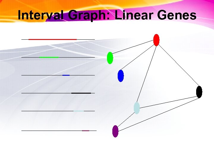 Interval Graph: Linear Genes 