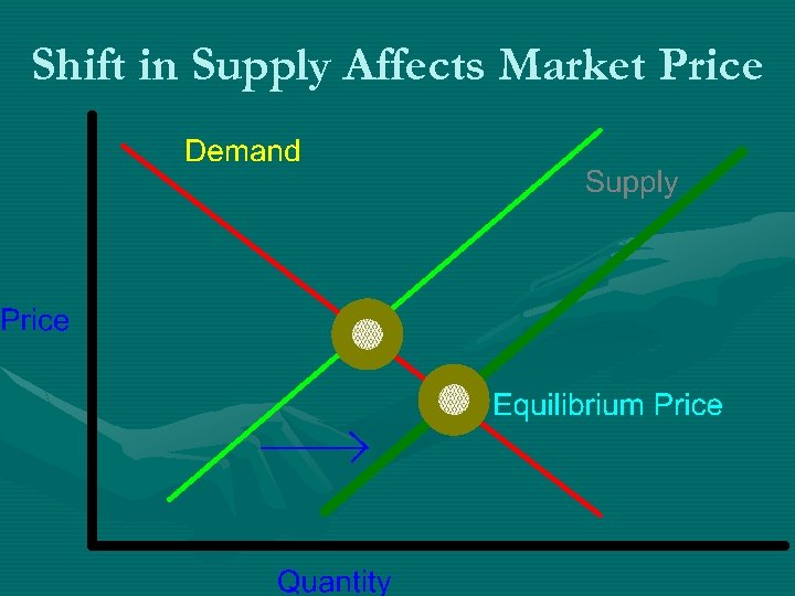 Shift in Supply Affects Market Price 