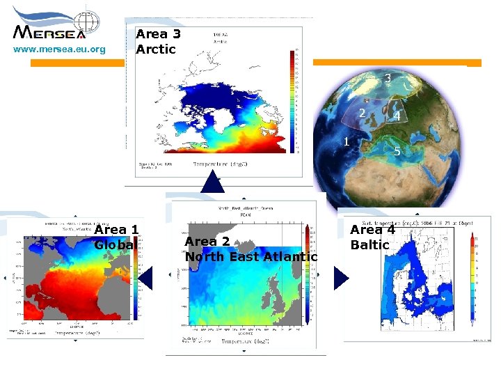 www. mersea. eu. org Area 3 Arctic Area 1 Global Area 2 North East