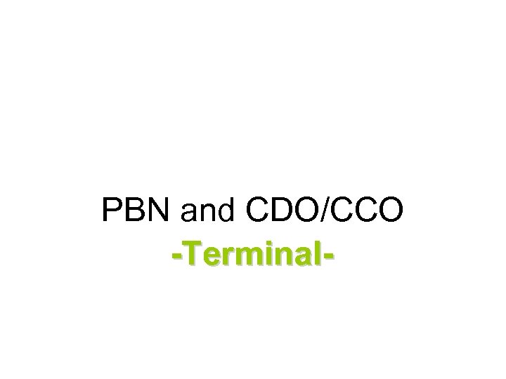 PBN and CDO/CCO -Terminal- 