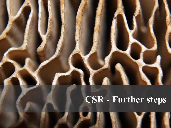 CSR - Further steps 