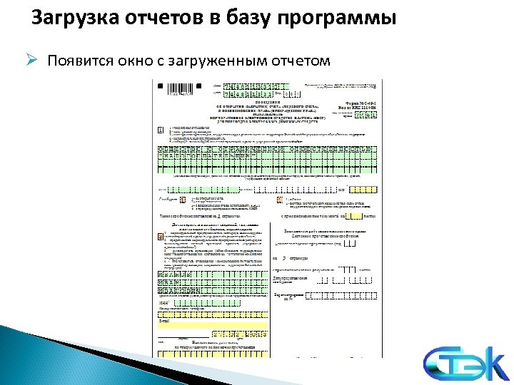 Загрузка отчетов в базу программы Ø Появится окно с загруженным отчетом 