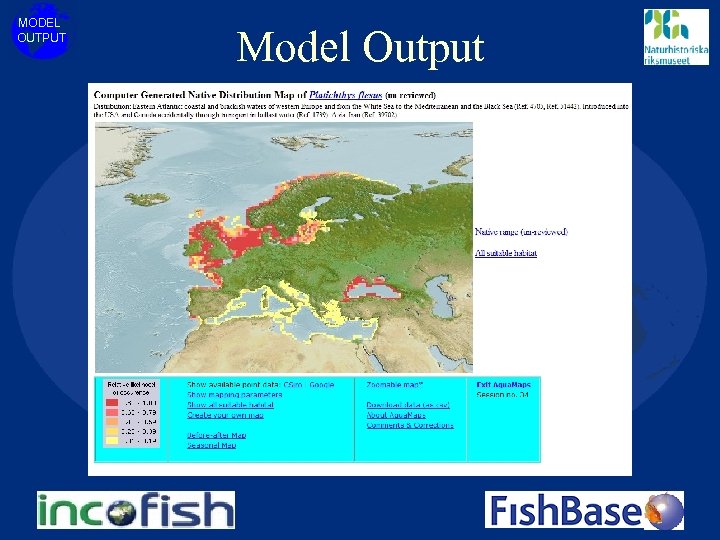 MODEL OUTPUT Model Output 