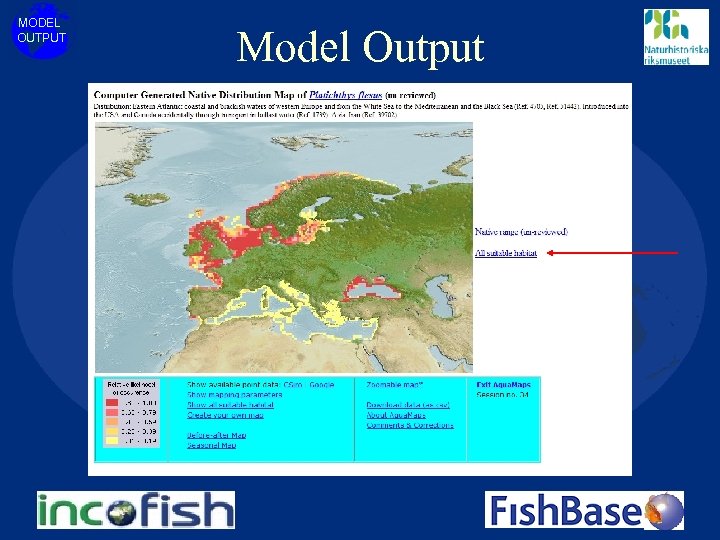 MODEL OUTPUT Model Output 