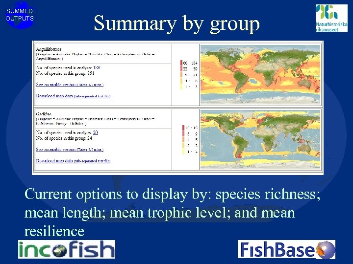 SUMMED OUTPUTS Summary by group Current options to display by: species richness; mean length;