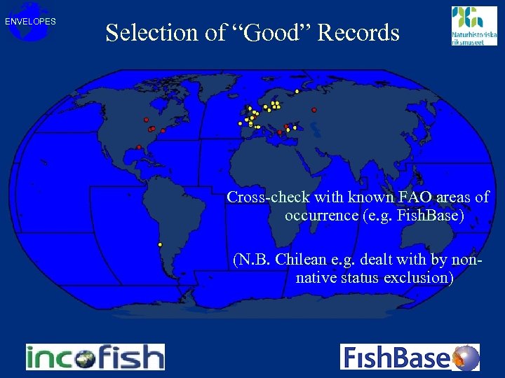 ENVELOPES Selection of “Good” Records Cross-check with known FAO areas of occurrence (e. g.