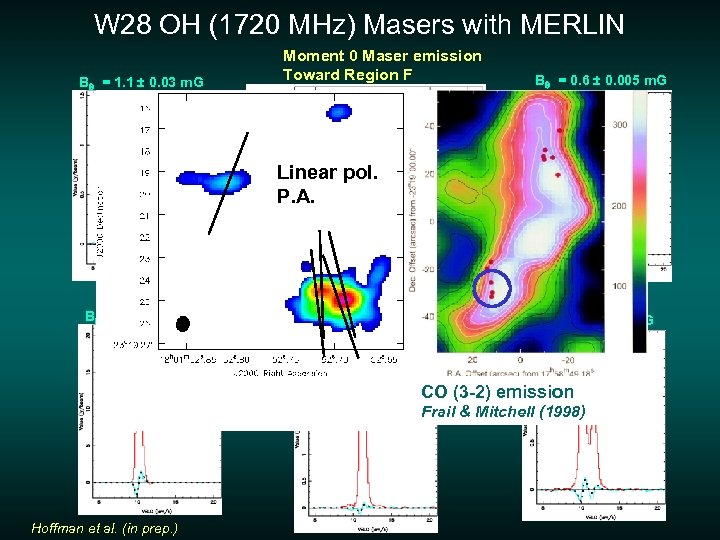 W 28 OH (1720 MHz) Masers with MERLIN Bq = 1. 1 ± 0.