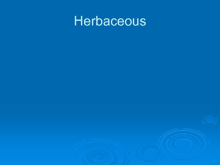 Herbaceous 