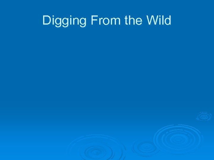 Digging From the Wild 