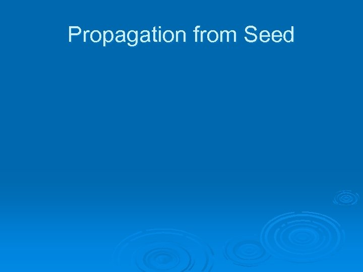 Propagation from Seed 