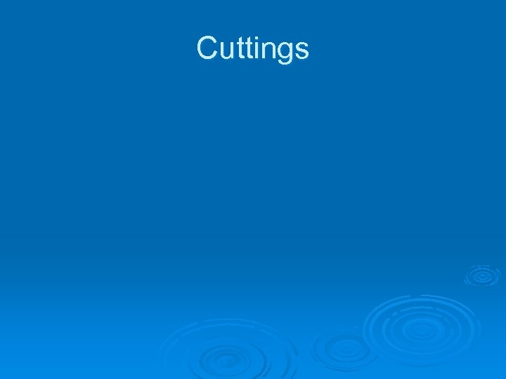 Cuttings 