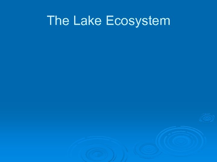The Lake Ecosystem 