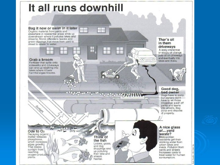 Good Stewardship Practices 