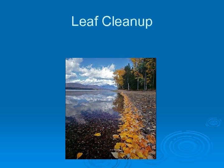 Leaf Cleanup 