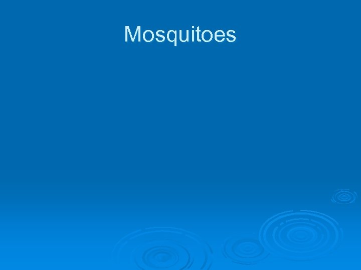 Mosquitoes 