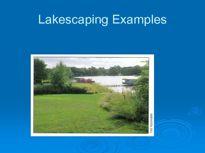 Lakescaping Examples 