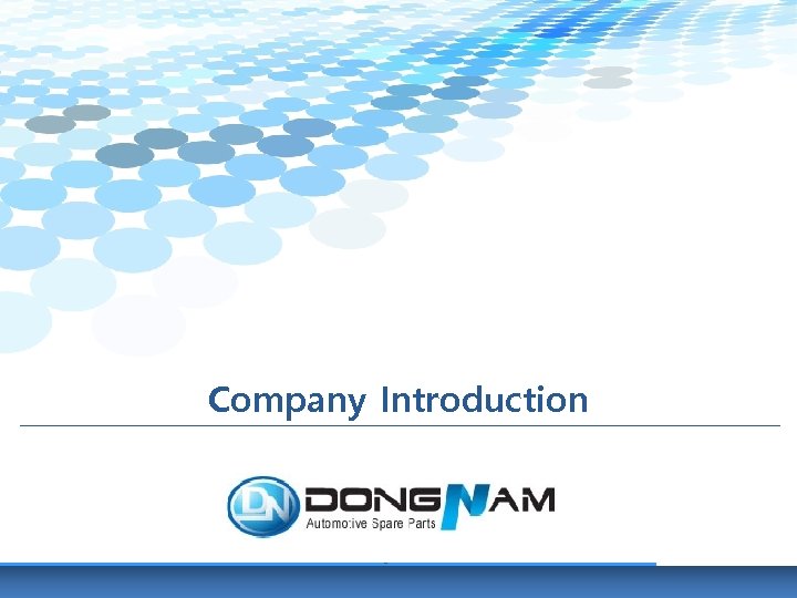 Company Introduction Dong. Nam Co. , Ltd. 1360, Gwanpyeong-dong, Yuseong-gu, Dae-jeon, KOREA Tel) 82