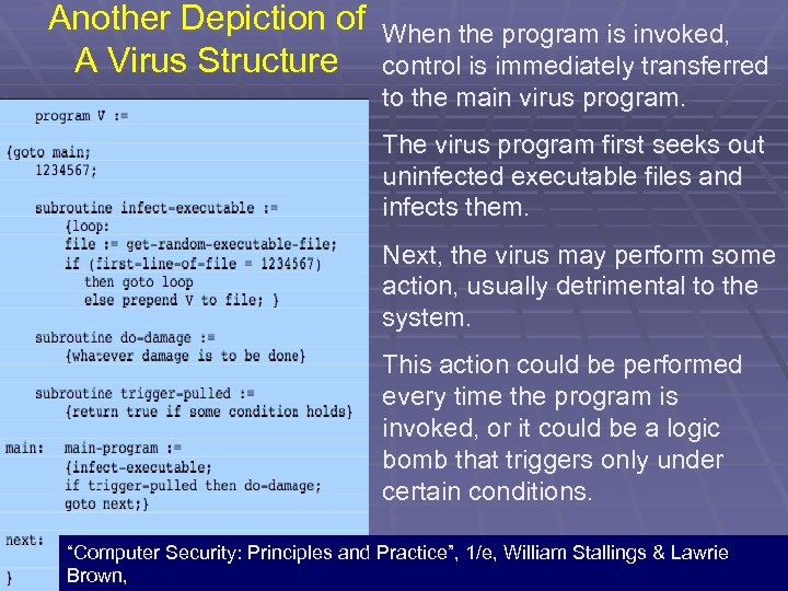 Another Depiction of A Virus Structure When the program is invoked, control is immediately