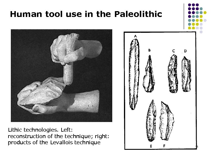 Human tool use in the Paleolithic Lithic technologies. Left: reconstruction of the technique; right: