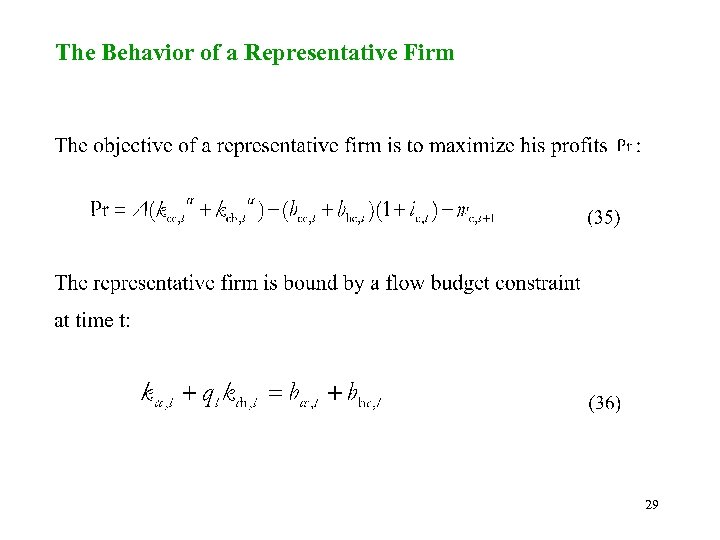 The Behavior of a Representative Firm 29 