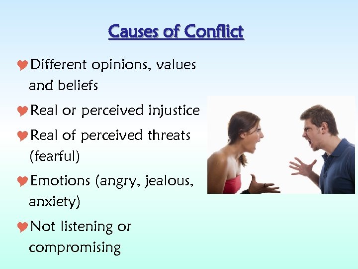Causes of Conflict Different opinions, values and beliefs Real or perceived injustice Real of
