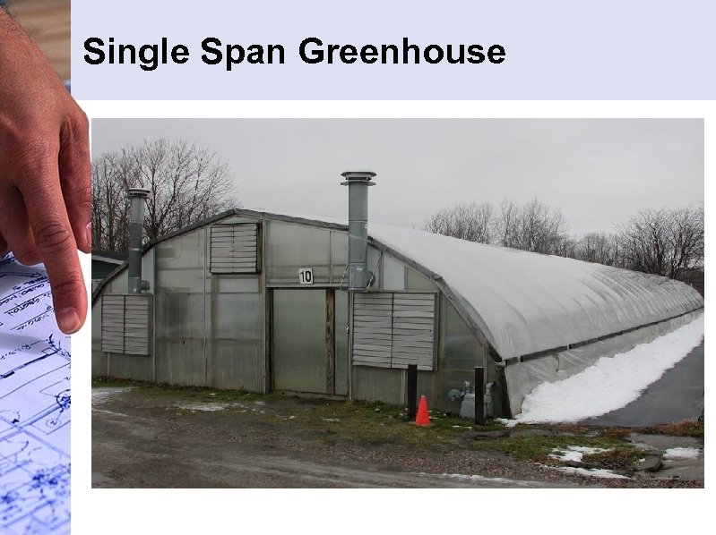 Single Span Greenhouse 