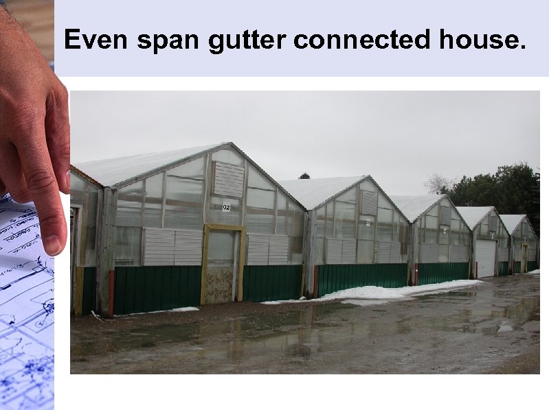 Even span gutter connected house. 