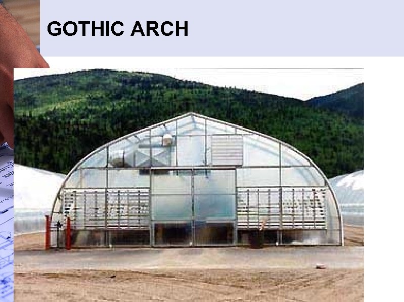 GOTHIC ARCH 