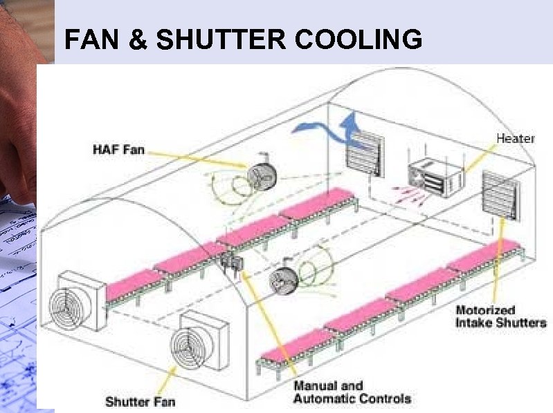 FAN & SHUTTER COOLING 