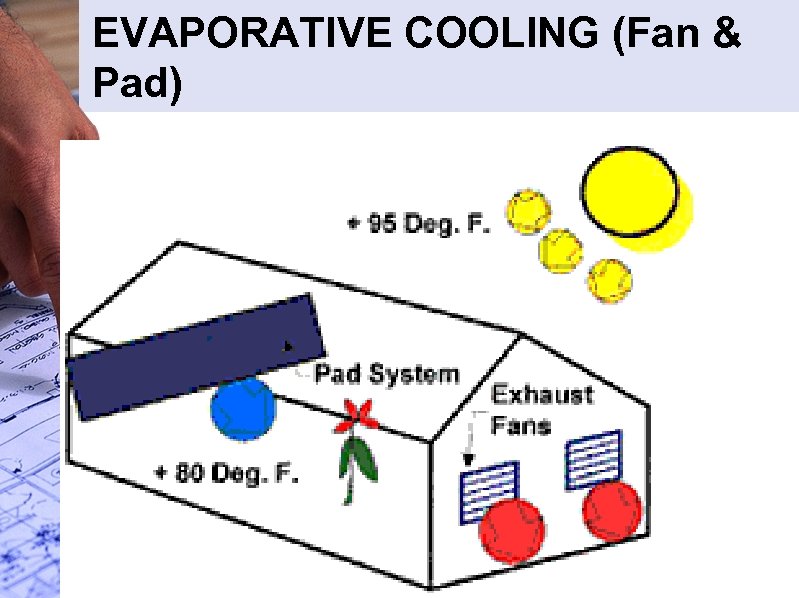 EVAPORATIVE COOLING (Fan & Pad) 