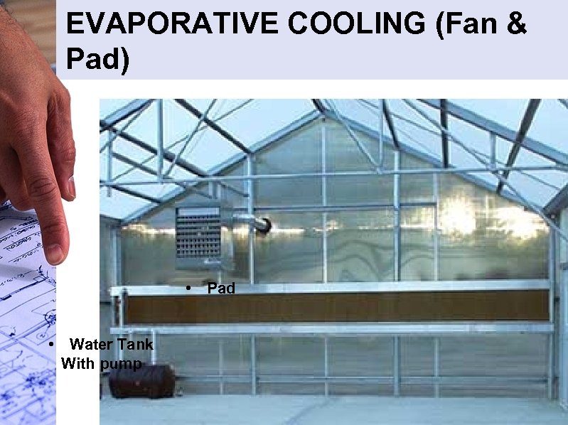 EVAPORATIVE COOLING (Fan & Pad) • Pad • Water Tank With pump 