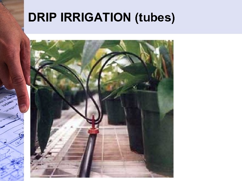 DRIP IRRIGATION (tubes) 