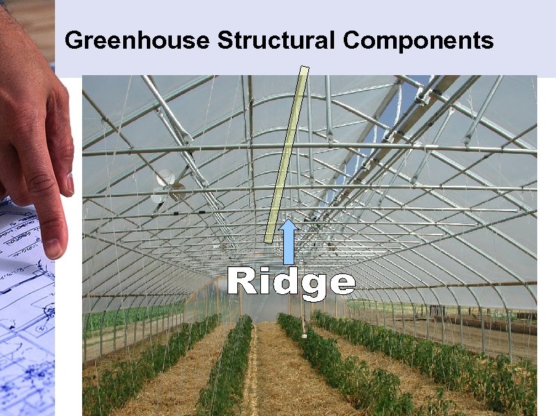 Greenhouse Structural Components 