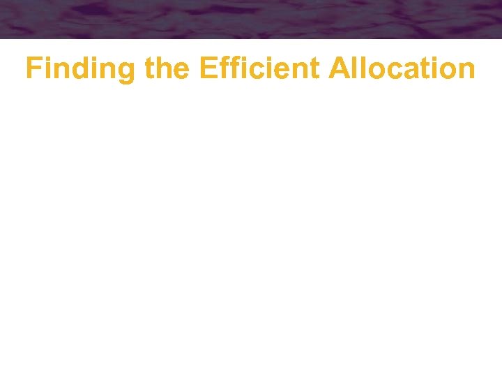 Finding the Efficient Allocation 