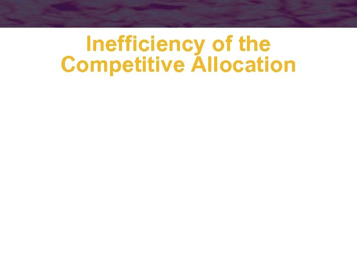 Inefficiency of the Competitive Allocation 
