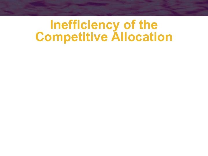 Inefficiency of the Competitive Allocation 