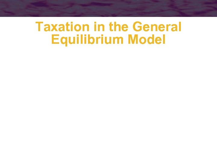Taxation in the General Equilibrium Model 