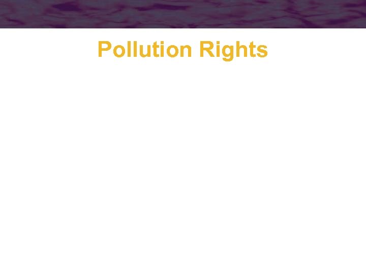 Pollution Rights 