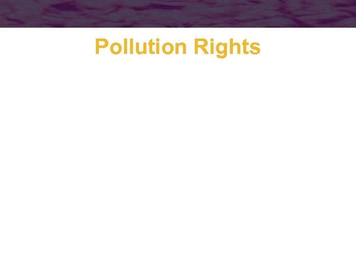 Pollution Rights 