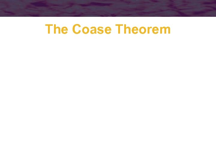 The Coase Theorem 