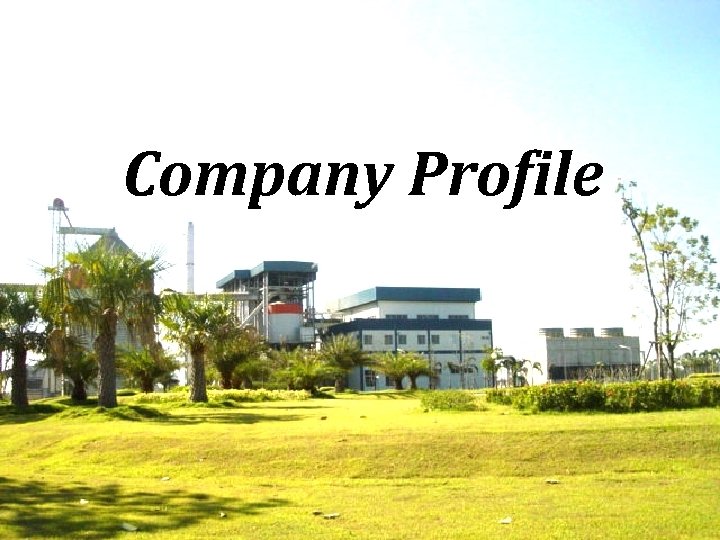 Company Profile 