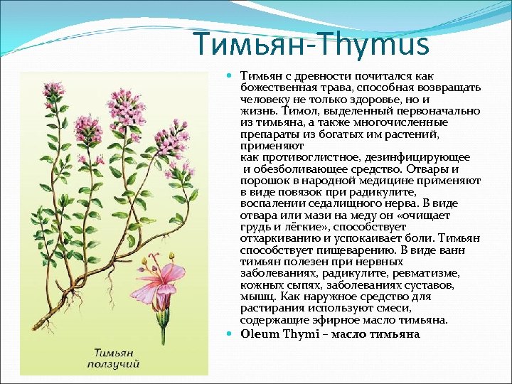 Земли Тюменской Травы Целебные Купить Книгу