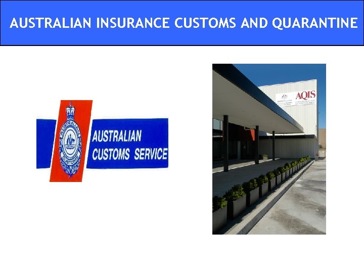 AUSTRALIAN INSURANCE CUSTOMS AND QUARANTINE 