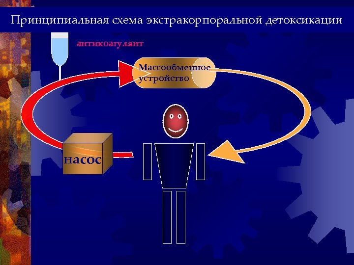 Принципиальная схема экстракорпоральной детоксикации антикоагулянт Массообменное устройство насос 