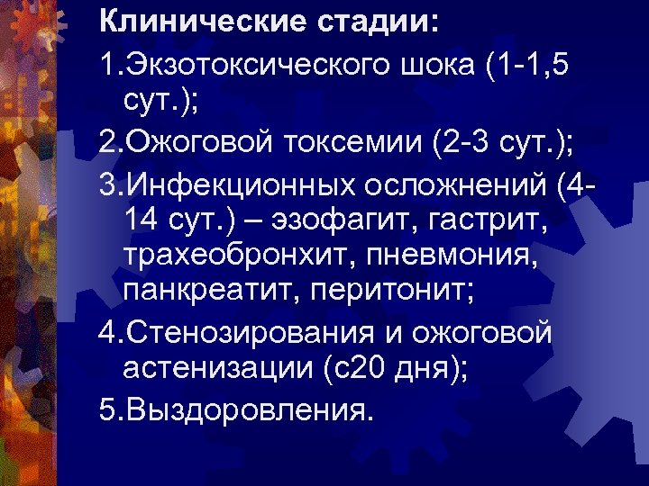 Клинические стадии: 1. Экзотоксического шока (1 -1, 5 сут. ); 2. Ожоговой токсемии (2