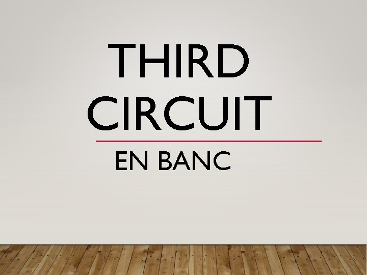 THIRD CIRCUIT EN BANC 