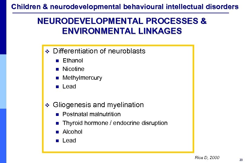 Children & neurodevelopmental behavioural intellectual disorders NEURODEVELOPMENTAL PROCESSES & ENVIRONMENTAL LINKAGES v Differentiation of