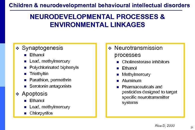 Children & neurodevelopmental behavioural intellectual disorders NEURODEVELOPMENTAL PROCESSES & ENVIRONMENTAL LINKAGES v Synaptogenesis n